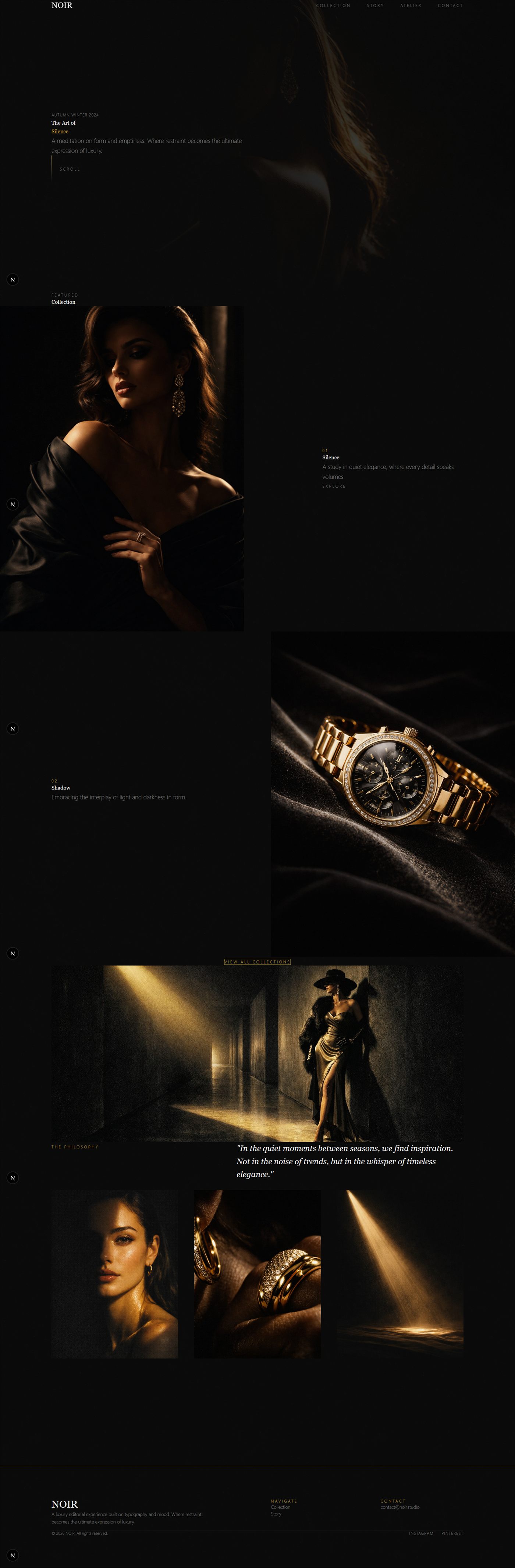 Screenshot der Website Noir